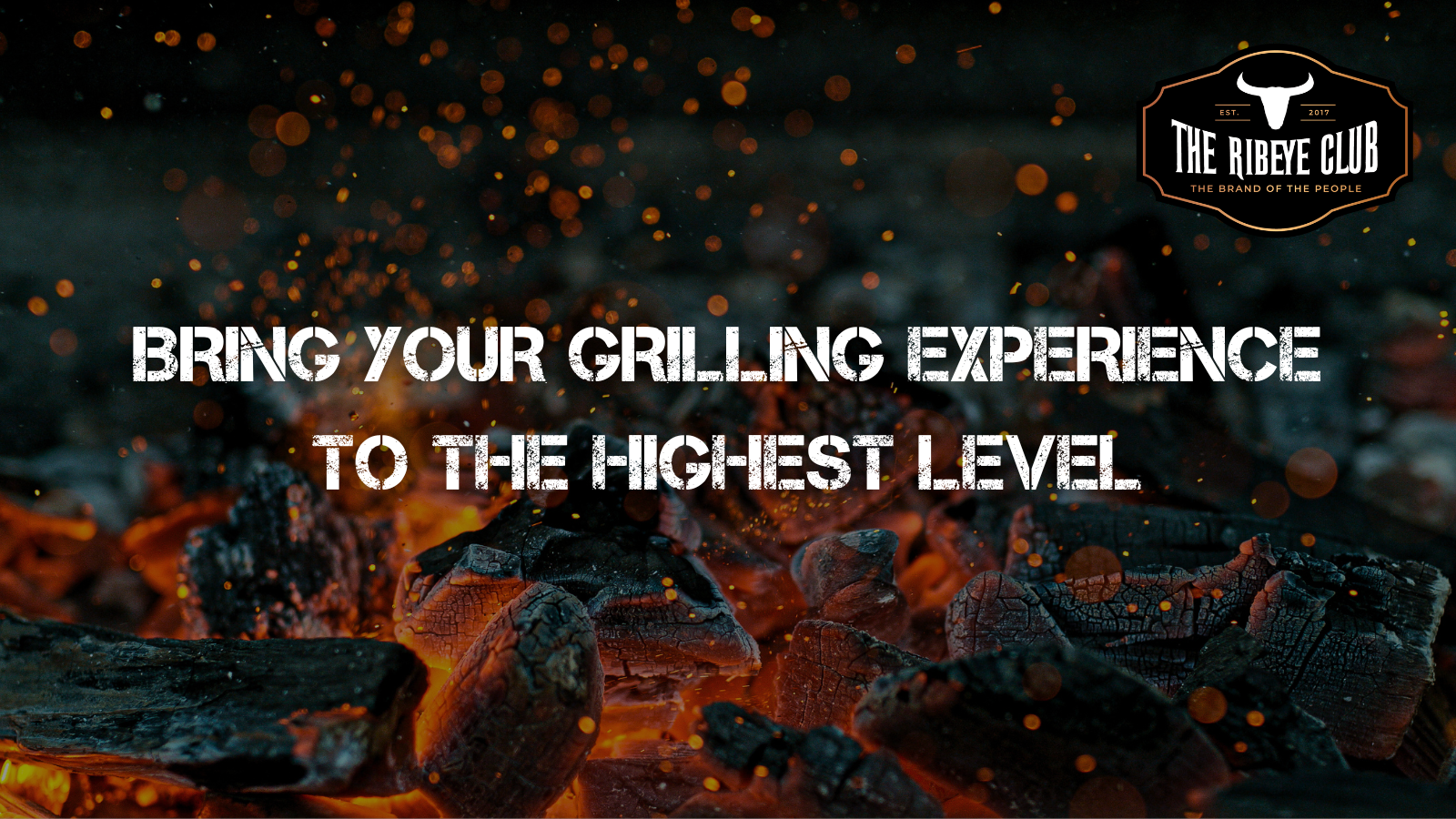 Advanced Grill Master Tools: Your BBQ to Perfection