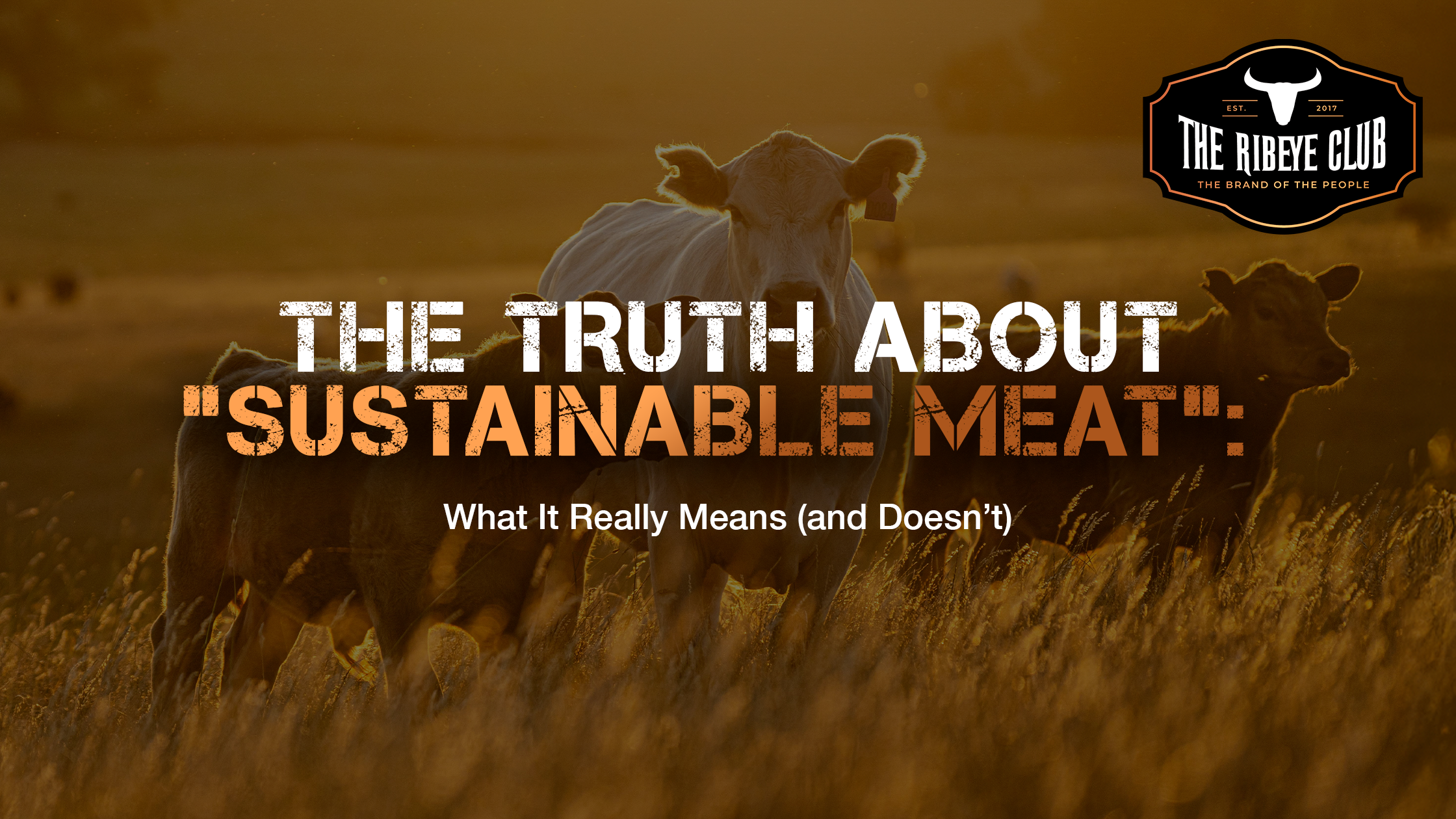 The Truth About “Sustainable Meat”: What It Really Means (and Doesn’t)