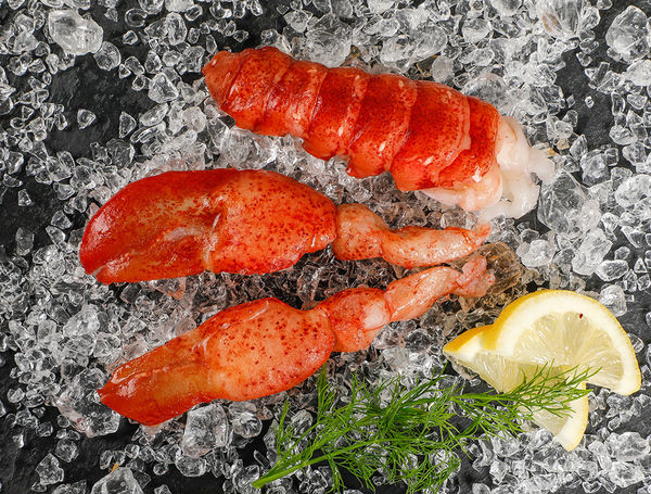 Lobster Meat (Tail & Claws) (8749482639698)