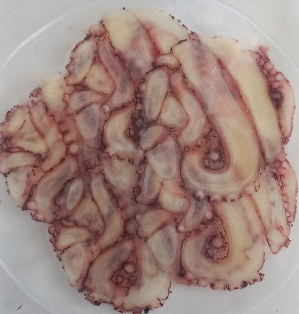 Carpaccio Octopus (Cooked) (8570331038034)
