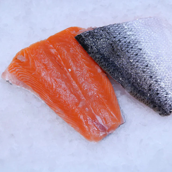 Wild Salmon Alaska Tails ❄️ (10102114713938) (10127247835474)
