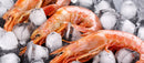 Red Shrimps - Argentina (7098382581943)