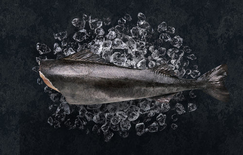 Black Cod Fish - Alaska in Cyprus - Ribeye Club (6931195166903)
