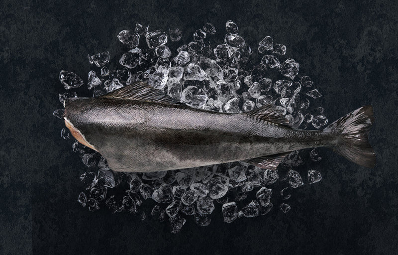 Black Cod Fish - Alaska in Cyprus - Ribeye Club (6931195166903)