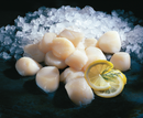 Wild Sea Scallops - USA in Cyprus - Ribeye Club (7015376257207)