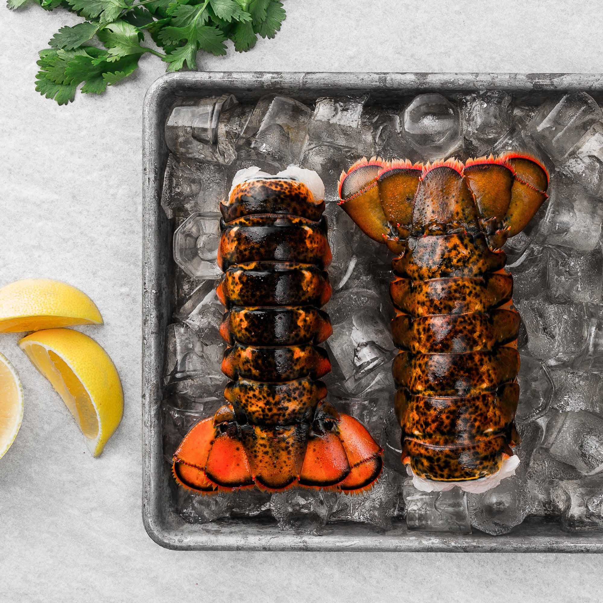 Lobster Tails (6645113389239)