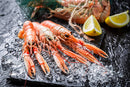 Langoustines (7094346186935)
