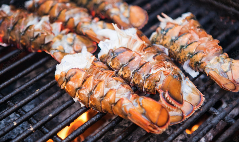 Lobster Tails (6645113389239)
