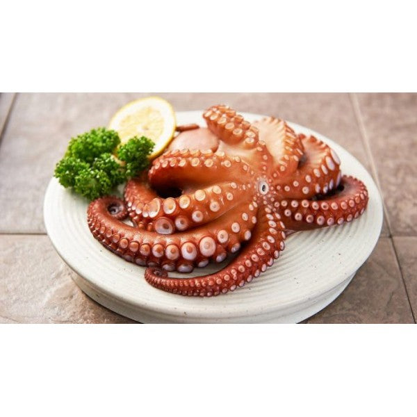 Octopus Tentacles - Morocco (7105248329911)