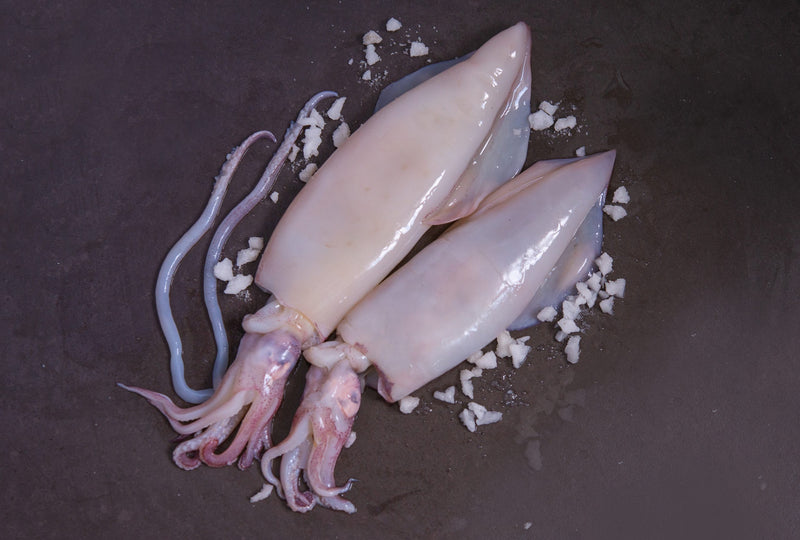 Squid (Calamari) - Scotland (8356927734098)