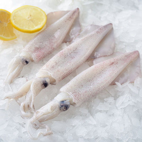 Squid (Calamari) - Scotland (8356927734098)