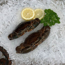 Crab Soft Shell (7073939587255)